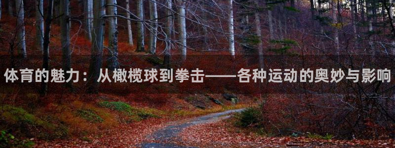 MK体育官网下载招商电话是多少号码：体育的魅力：从橄