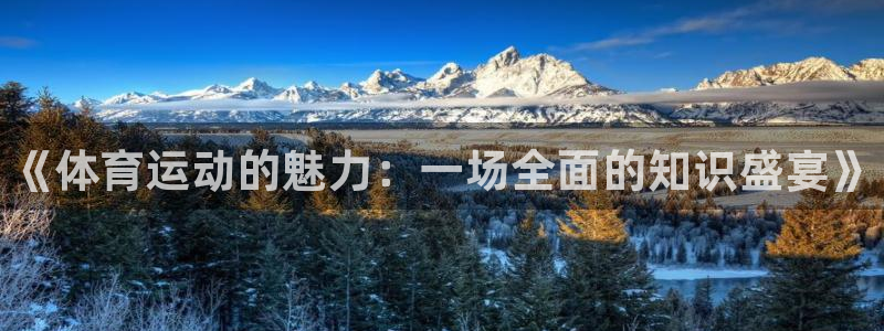 MK体育官网下载招商电话号码是多少号：《体育运动的魅力：一场
