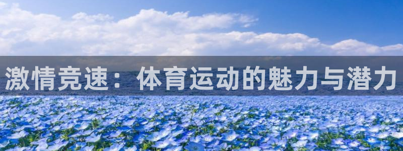 MK体育官网下载是干嘛的公司