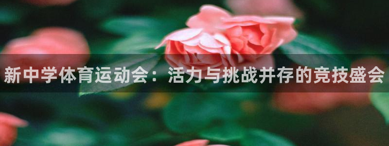 MK体育官方正版app官方：新中学体育运动会：活力与