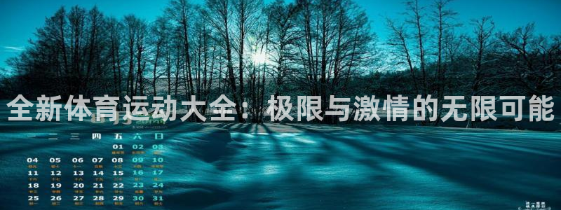 MK体育官方正版app神州：全新体育运动大全：极限与激情的无