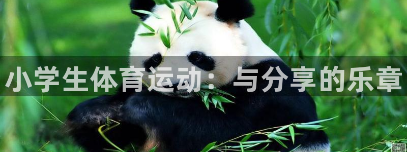 MK体育官网下载招商电话号码查询是多少
