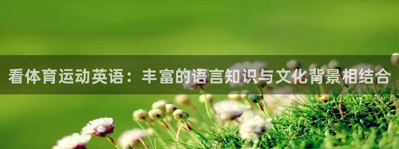 MK体育官网下载平台假的吗是真的吗吗：看体育运动英语：丰富的