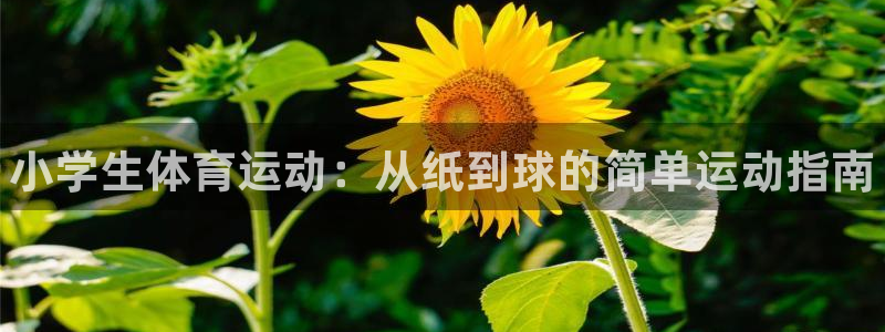 MK体育官方平台体育：小学生体育运动：从纸到球的简单运动指南