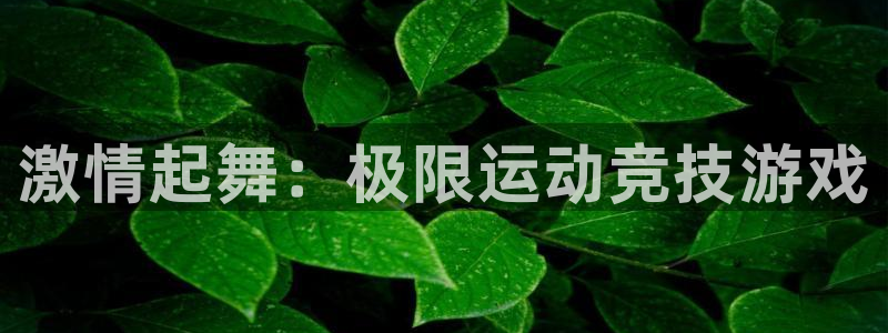 MK体育官网下载官方客服电话