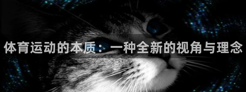 MK体育官方正版app代理：体育运动的本质：一种全新的视角与
