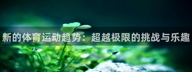 MK体育官网下载招商电话号码