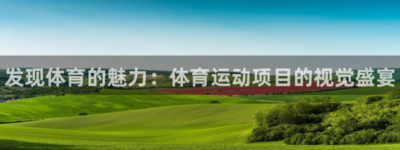 MK体育官网下载平台是正规平台吗