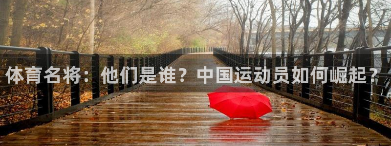 MK体育官网下载