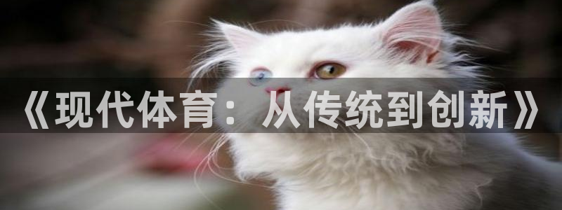 MK体育官方正版app集团官网首页：《现代体育：从传统到创新