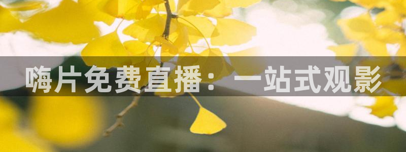 nba袋鼠直播：嗨片免费直播：一站式观影