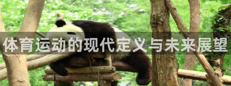 MK体育官网下载开户：体育运动的现代定义与未来展望