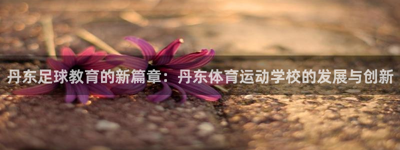 海南MK体育官网下载