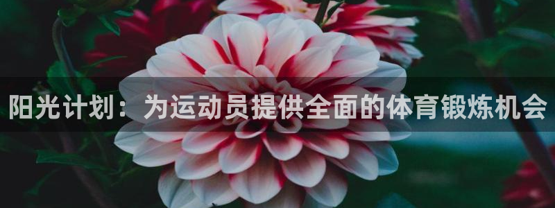 MK体育官网下载平台是正规平台吗安全吗:阳光计划:为运动员提