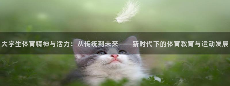 MK体育官网下载官方客服电话:大学生体育精神与活力:从传统到