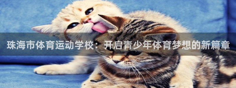MK体育官网下载招商电话号码:珠海市体育运动学校:开启青少年