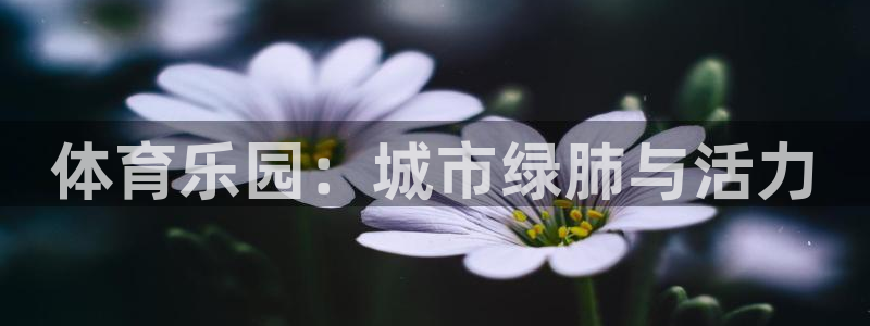 MK体育官方正版app科技:体育乐园:城市绿肺与活力