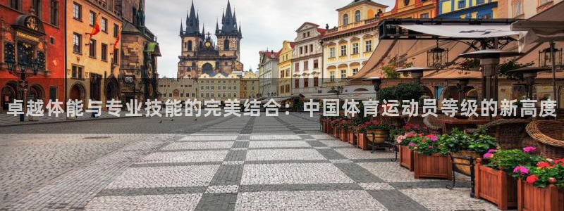 MK体育官网下载平台注册要钱吗是真的吗：卓越体能与专业技能的