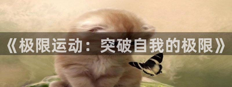 MK体育官方平台体育：《极限运动：突破自我的极限》