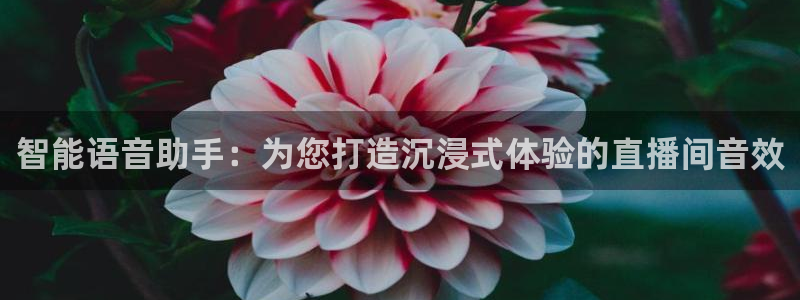 袋鼠体育直播官网：智能语音助手：为您打造沉浸式体验的直播间音效