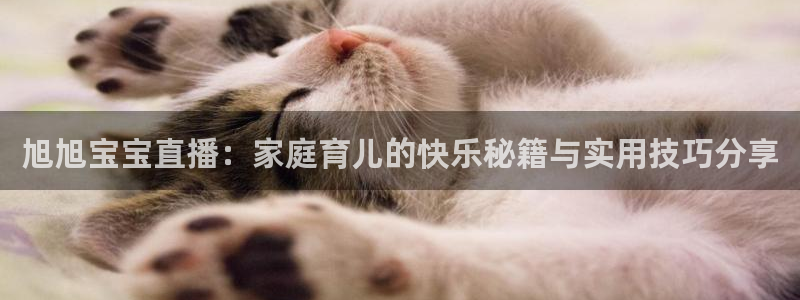 袋鼠体育免费直播：旭旭宝宝直播：家庭育儿的快乐秘籍与实用技巧分享