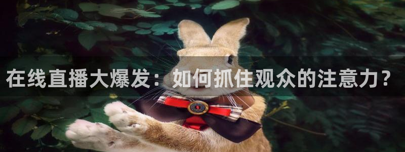 袋鼠直播在线观看nba：在线直播大爆发：如何抓住观众的注意力？