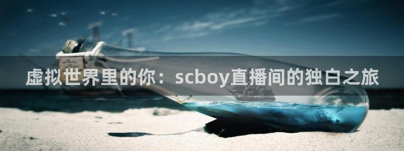 袋鼠直播nba在线观看：虚拟世界里的你：scboy直播间的独白之旅