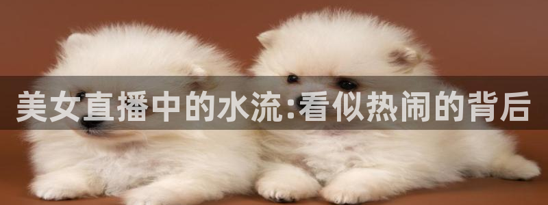 袋鼠体育在线直播免费：美女直播中的水流:看似热闹的背后